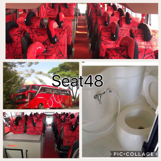 bus 48 seat rental elf bandung